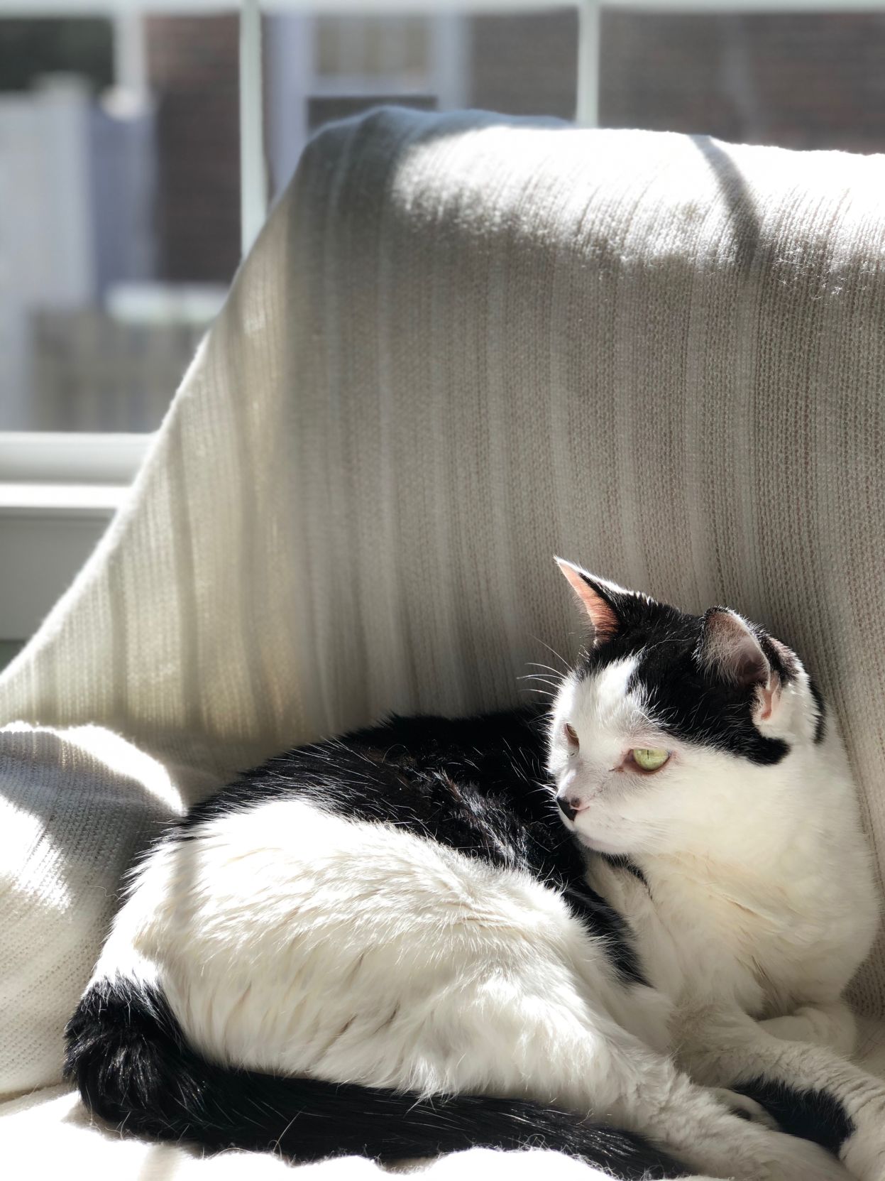 Maybelle